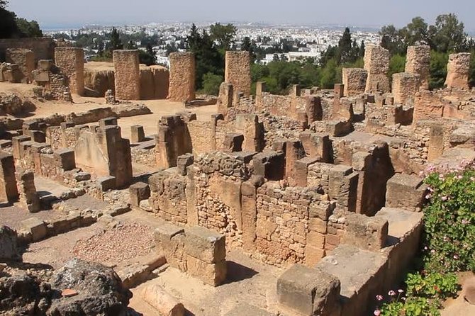 Tunis, Sidi Bousaid and Carthage day trip from Hammamet - Who should book this day trip