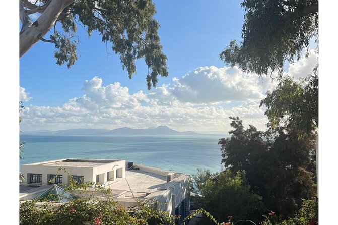 VIP Tour: Tunis Medina/Bardo, Sidi Bou Said, Carthage |PICKUP ALL - The long ride from Sousse to northern Tunisia