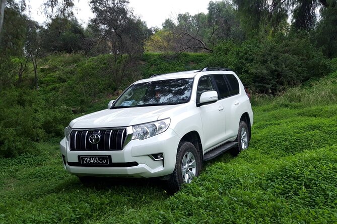 VIP transfer between Tunis Carthage Airport and a hotel in Tunis - The main drawback: confirm the exact destination
